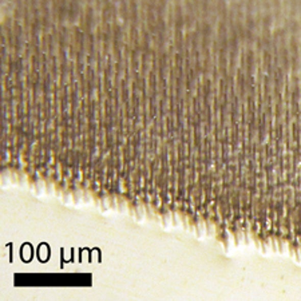 Photovoltaic Breakthroughs Brighten Outlook for Cheap Solar Power