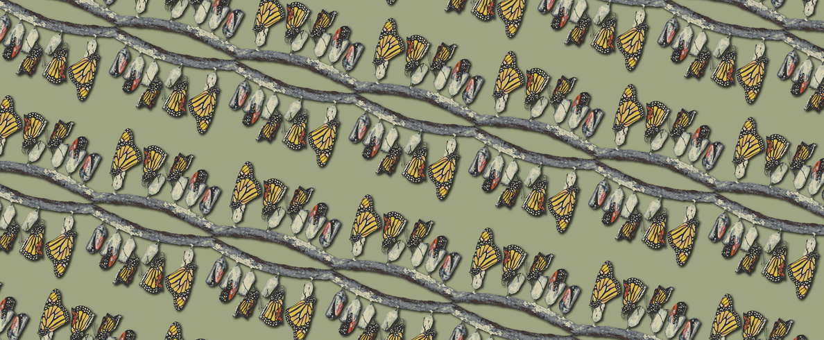 A Flash on Jupiter and the World under Your Skin: The Week's Best Science GIFs