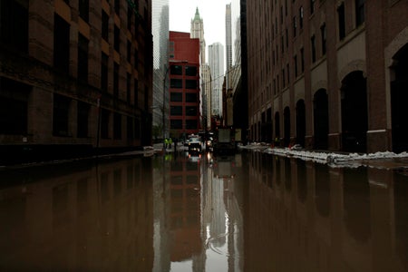 Scientific American Logo
