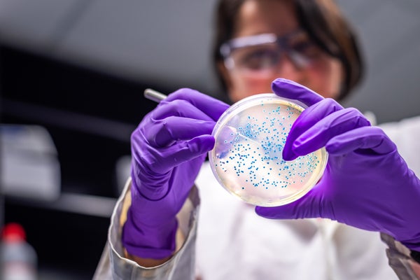 A female scientist holds a petri dish.