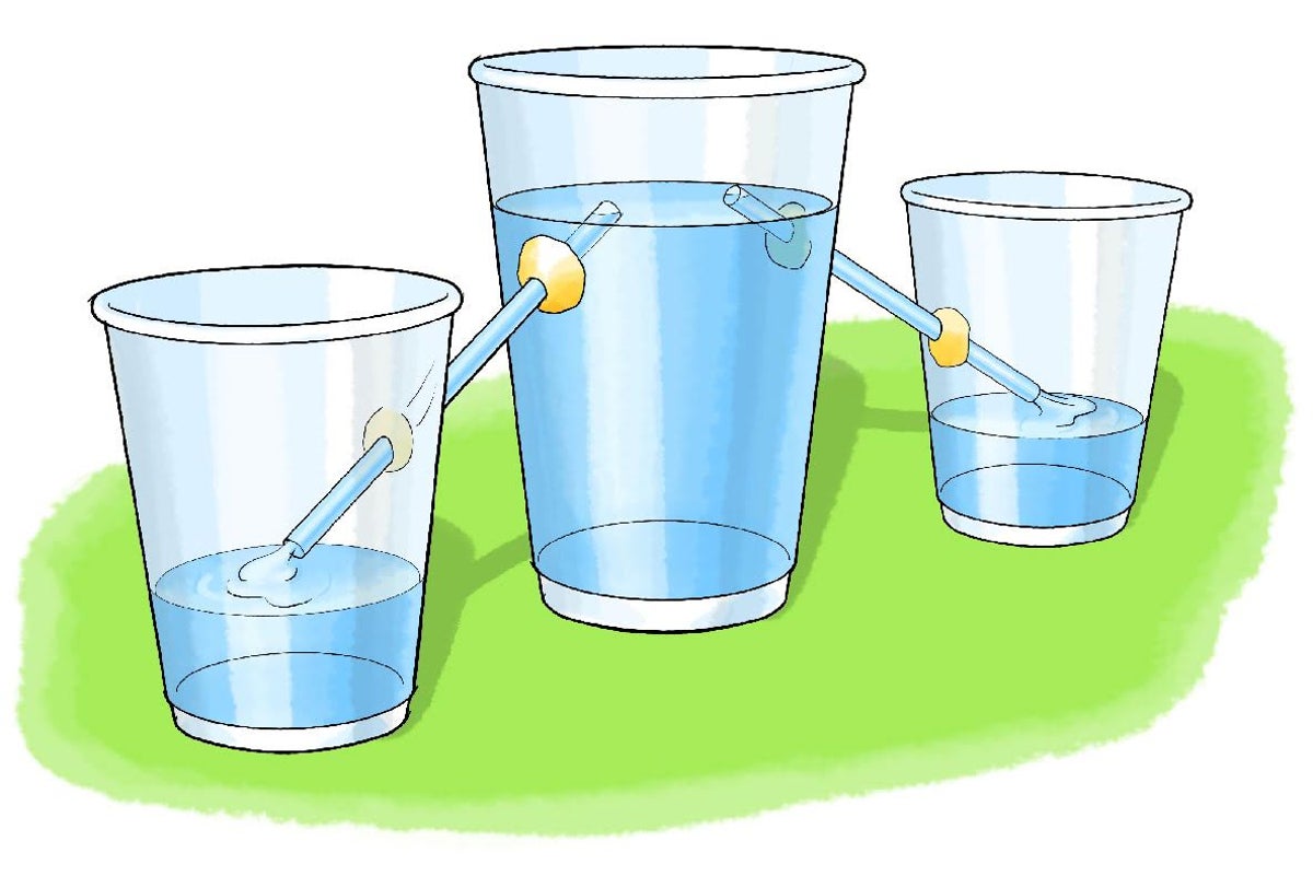 Build an Irrigation System Scientific American