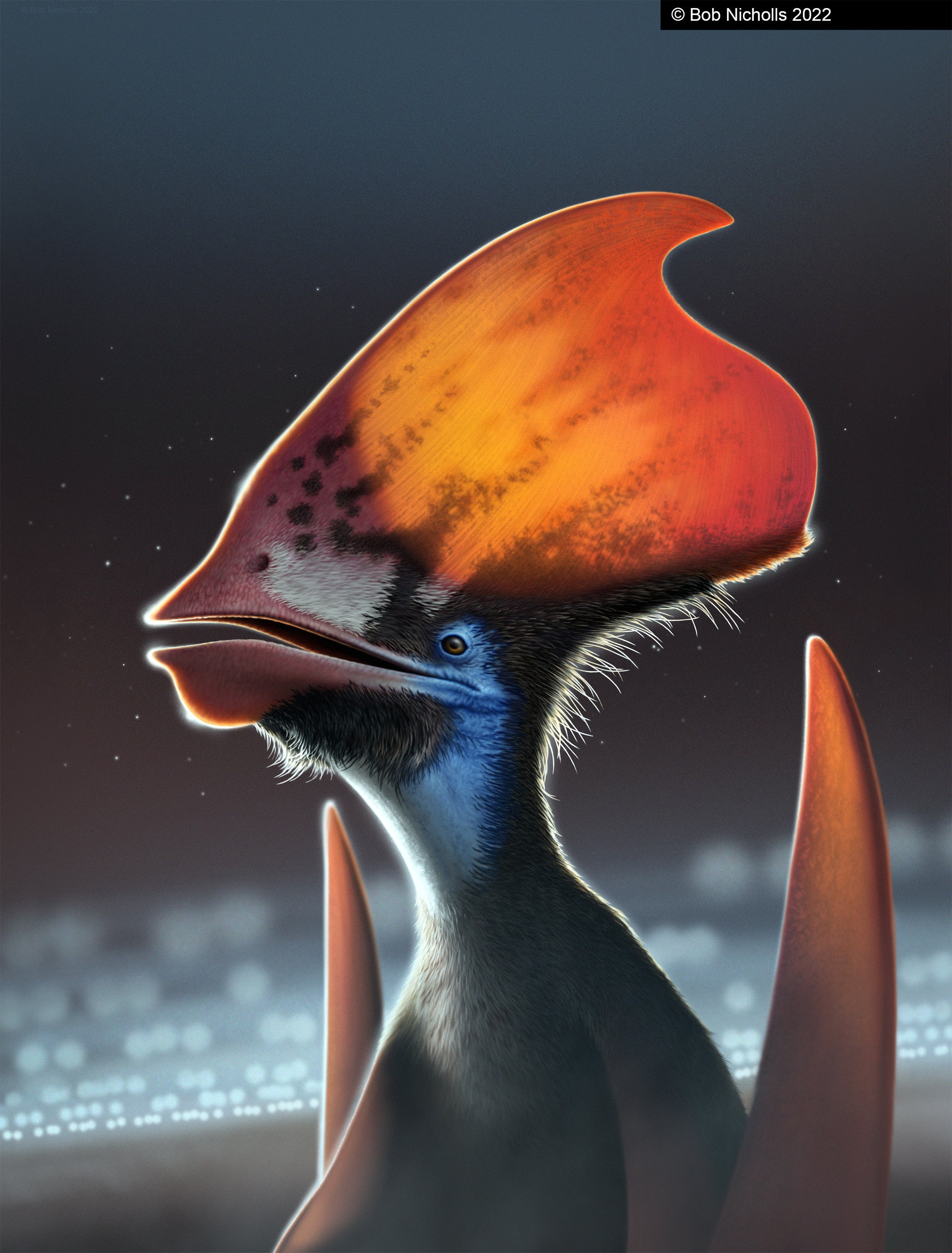 Pterosaurs May Have Had Brightly Colored Feathers, Exquisite Fossil Reveals  - Scientific American