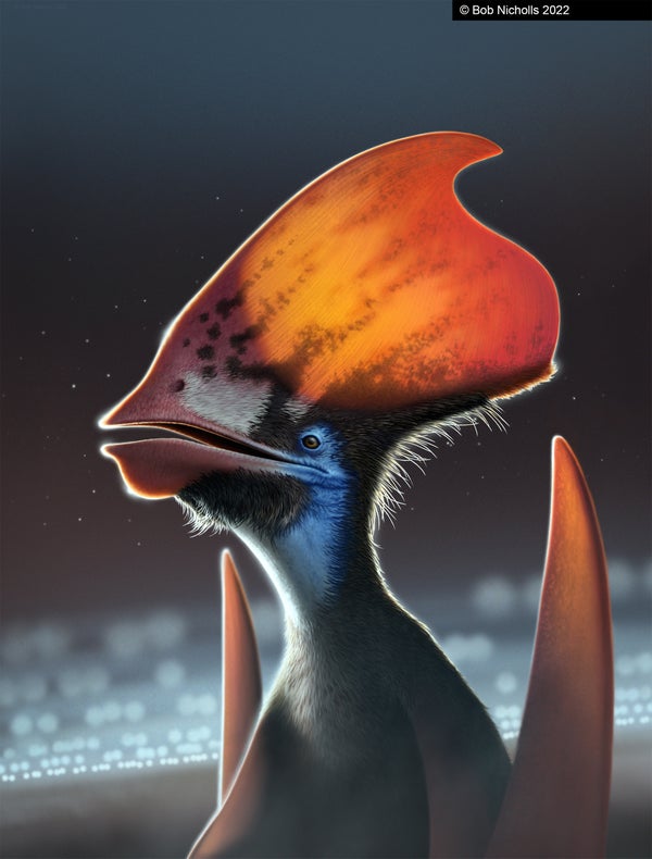 An illustration of a colorful pterosaur.