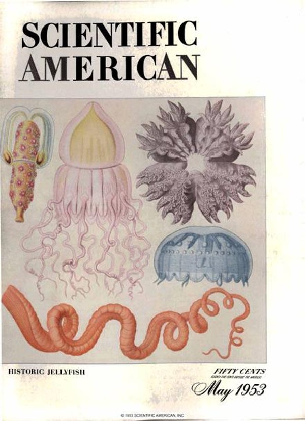 Scientific American Magazine Vol 188 Issue 5
