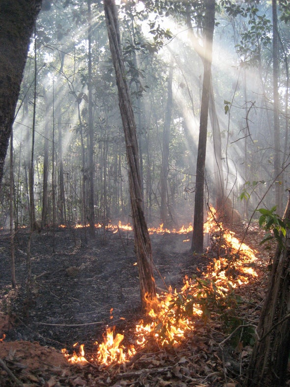 Human-Lit Fires Can Pose Threat to Amazon Rainforest