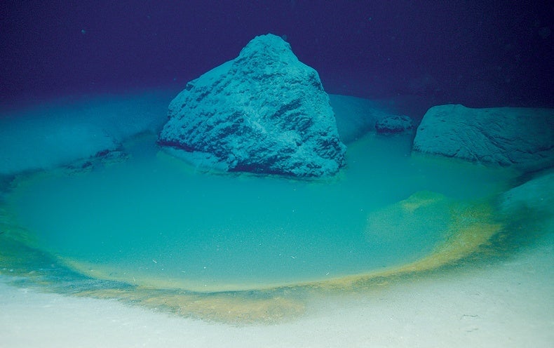 Nadir Kızıldeniz Tuzlu Su Havuzu Geçmiş Doğal Afetlerin Sırlarını Saklıyor