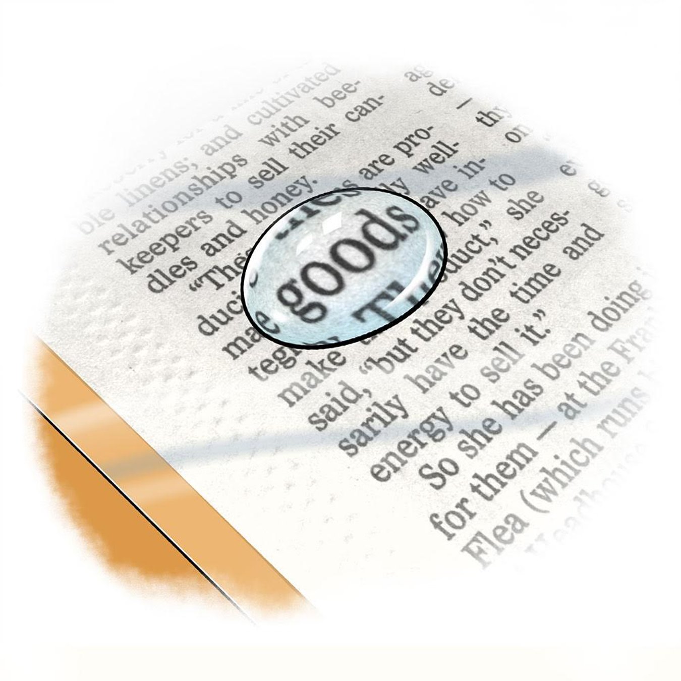 The Magnifying Effect Of A Water Drop Scientific American The Magnifying Effect Of A Water Drop Scientific American