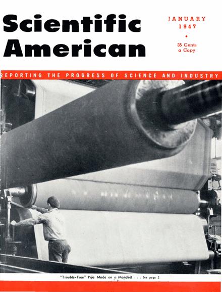 Scientific American Magazine Vol 176 Issue 1