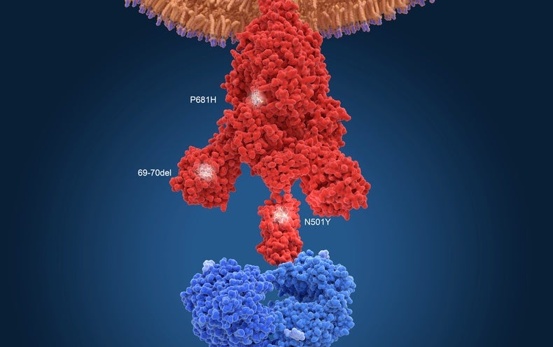 COVID Variants May Arise In People With Compromised Immune Systems ...