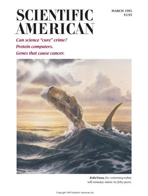 Scientific American Magazine Vol 272 Issue 3
