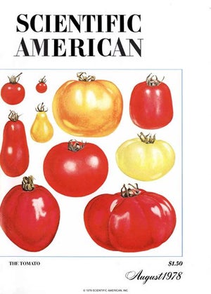 Scientific American Magazine Vol 239 Issue 2