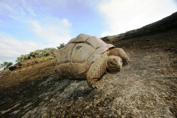 Fact or Fiction?: The Sixth Mass Extinction Can Be Stopped