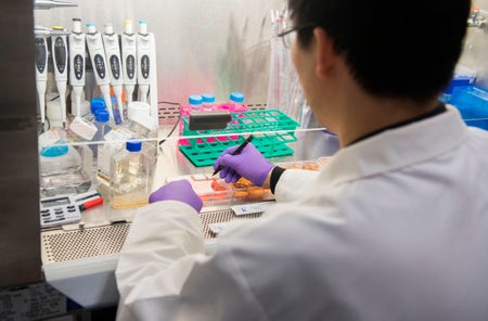 A biologist at the NCI is shown from behind as he makes notes in a refrigerated lab space.