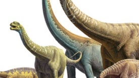 Triumph of the Titans: How Sauropods Flourished