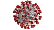 What Science Has Learned about the Coronavirus One Year On