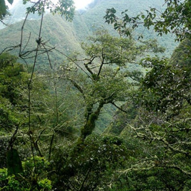 Climate Change Impacts Revealed: Disease in Peru