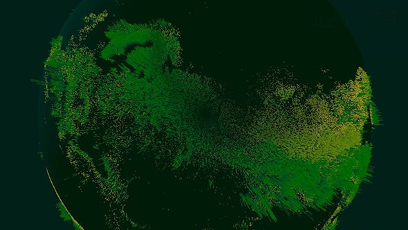 Earth Has 3 Trillion Trees Per New Count [Video]