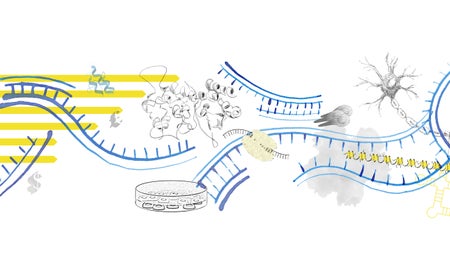 Illustration of DNA, proteins and growing cells