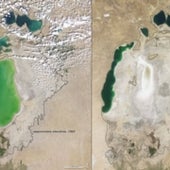 SMALLER BY THE DECADE