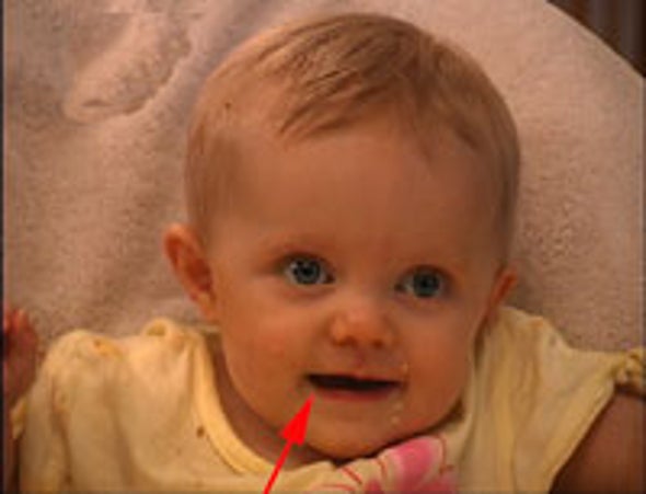 Babies' Babbles Linked to Brain's Language Center