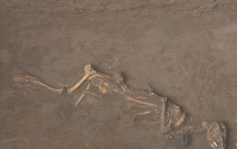 Anjing penjaga kematian Shang dengan bel perunggu, Sipanmo, Anyang. Kredit: Roderick Campbell (gambar dari: https://www.scientificamerican.com/article/uncovering-the-sacrificial-puppies-of-the-shang-dynasty/)