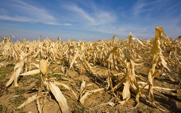 Heat Will Hit America's Poorest Worst