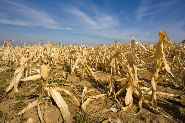 Heat Will Hit America's Poorest Worst