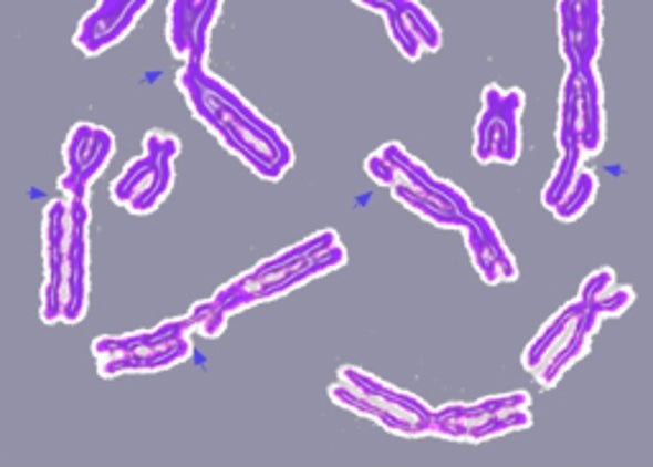 Citizen Science Project Markets Test for Damaged DNA