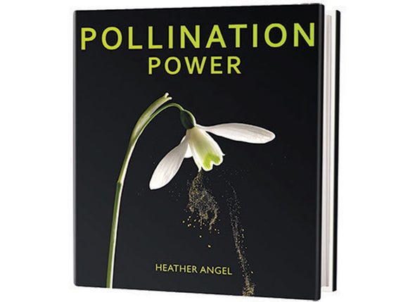 Book Review: <i>Pollination Power</i>