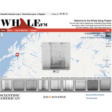 The Whale Song Project (Whale FM)