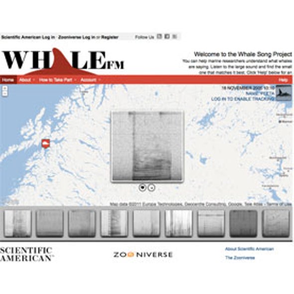 The Whale Song Project (Whale FM)