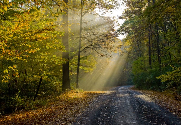 Country road in fall with sun beams