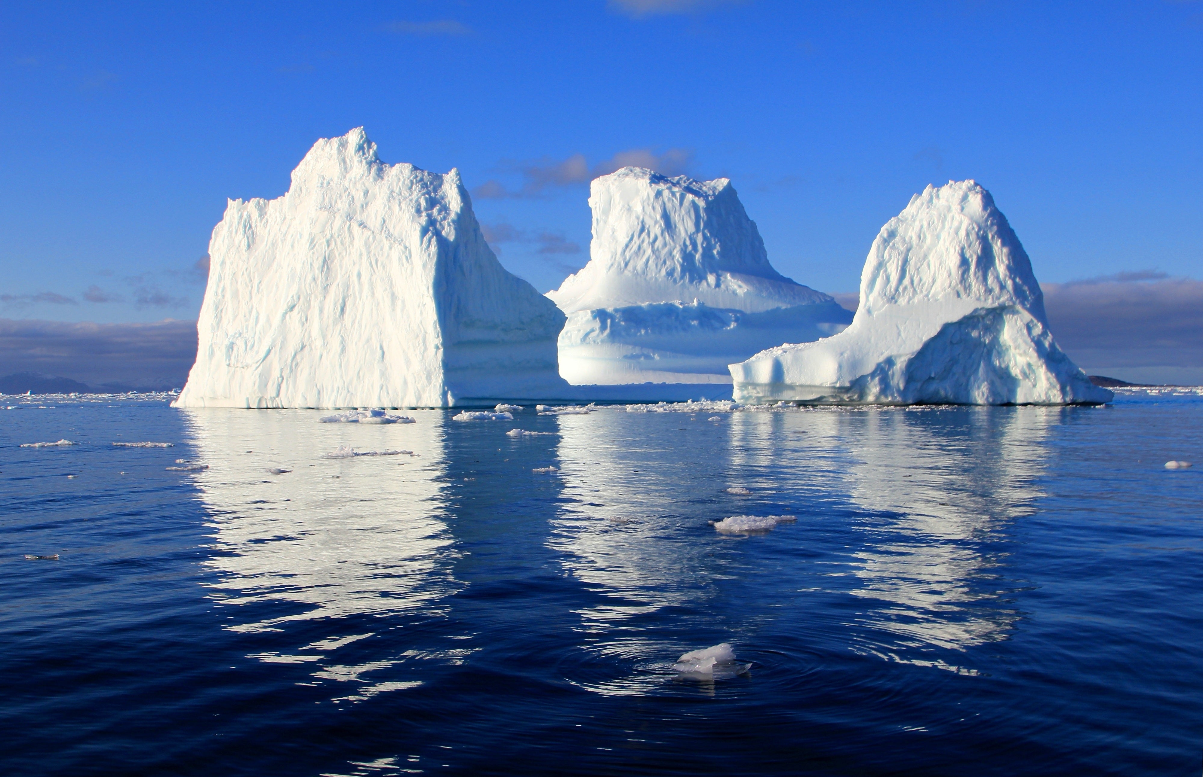 Icebergs can come in a rainbow of colors not just white the most ...