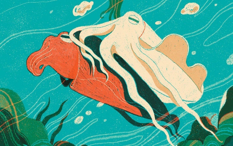 article featured illustration