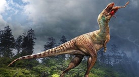 Some Dinosaurs May Have Wagged Their Tail to Help Them Run