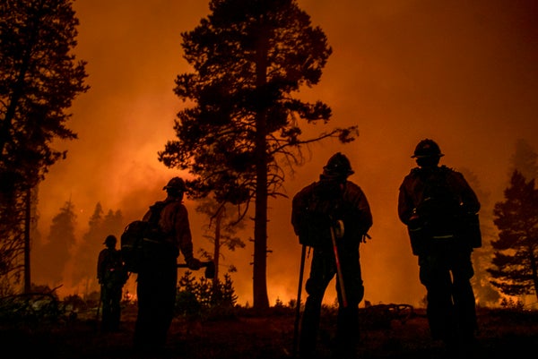 Silhouettes of fire fighters and trees amidst dense orange smoke.