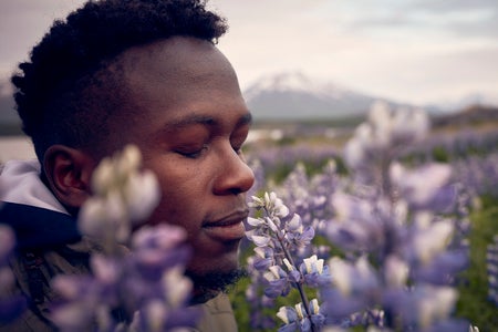Black man with closed eyes smelling blooming lupine flowers