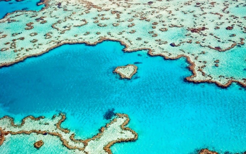 Australia Floats Plan To Better Protect Great Barrier Reef Scientific