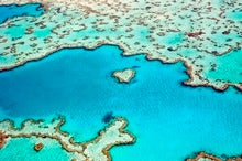 Australia Floats Plan to Better Protect Great Barrier Reef