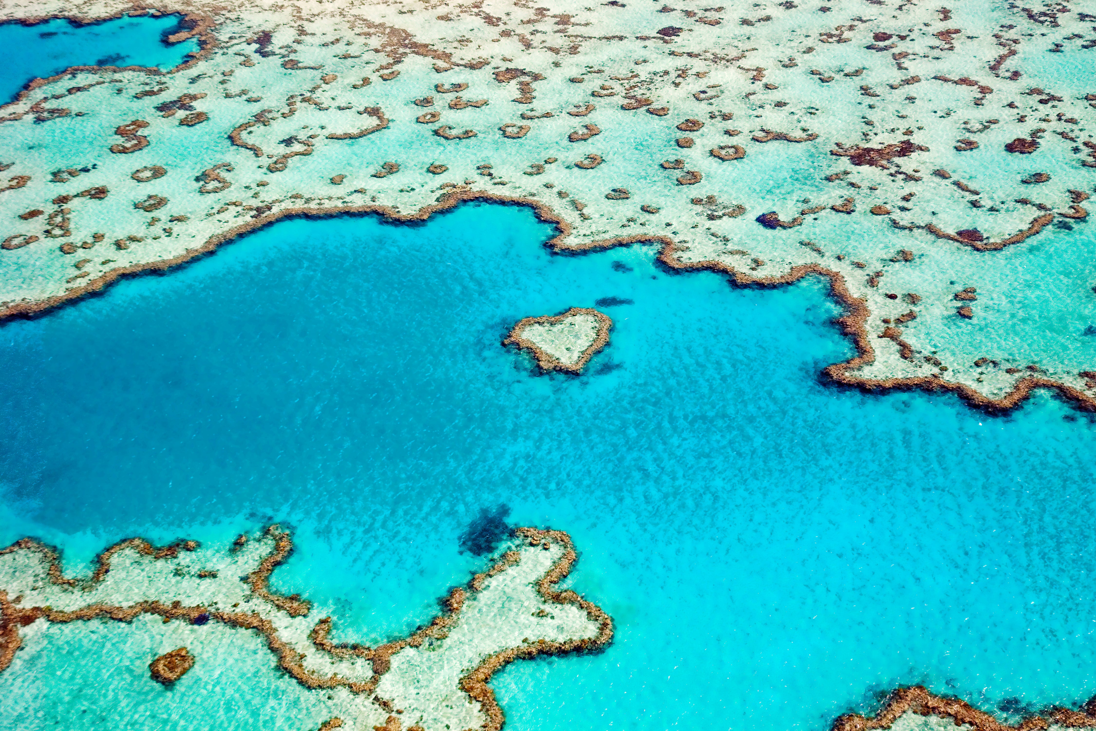 Australia Floats Plan to Better Protect Great Barrier Reef -