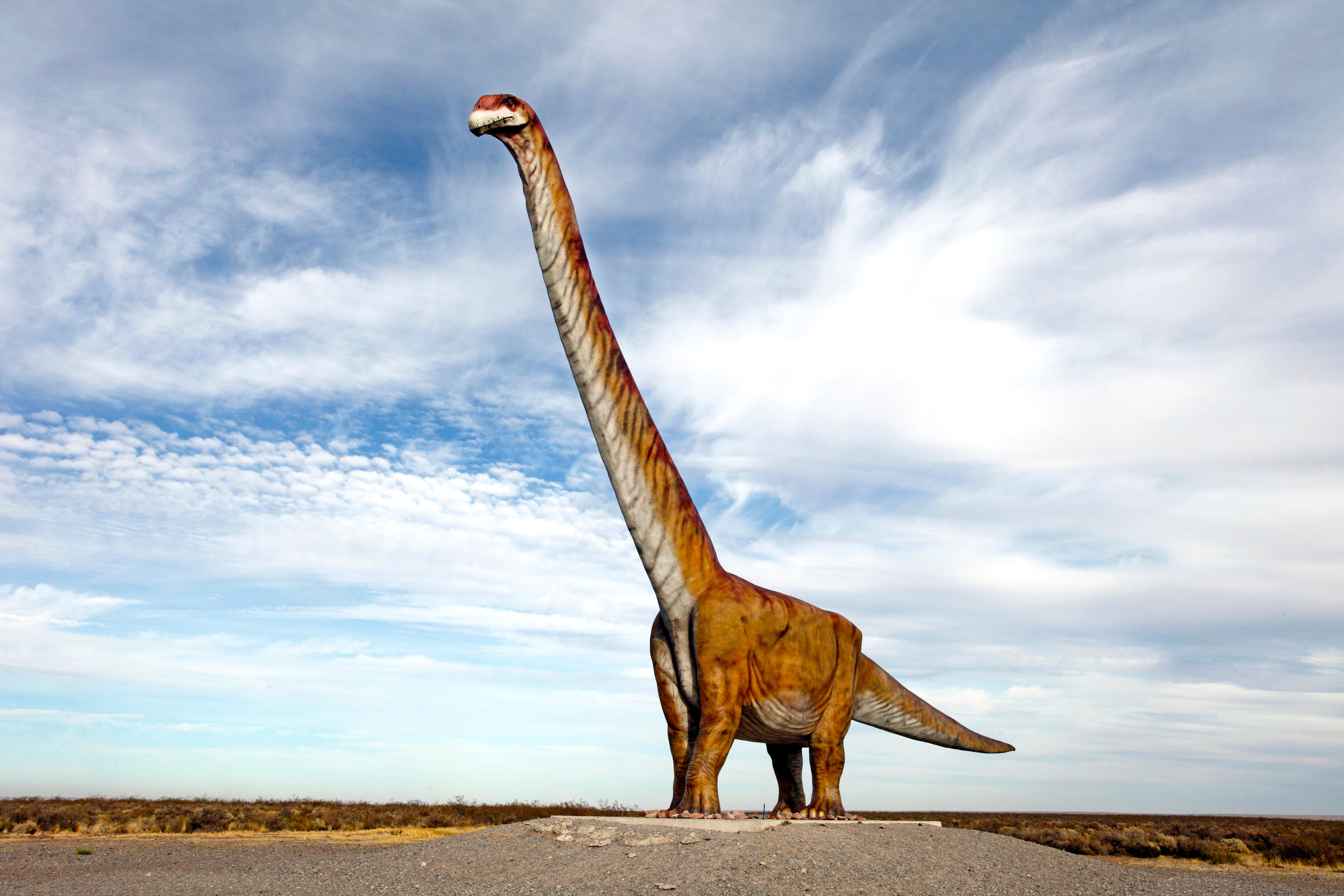 Haiku foso polvo Why the World's Biggest Dinosaurs Keep Getting Cut Down to Size -  Scientific American