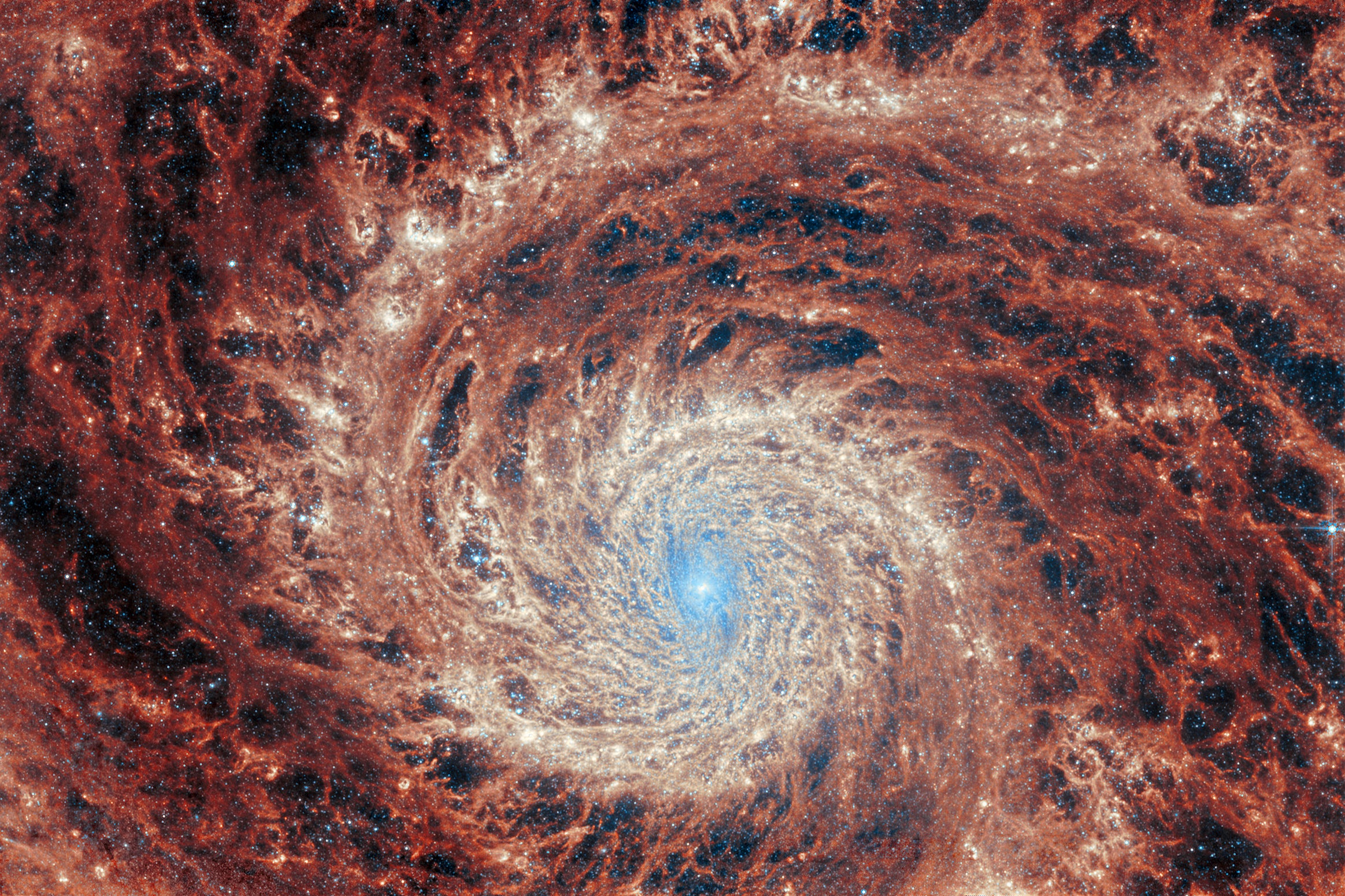 Behold--the Best Space Images of 2023