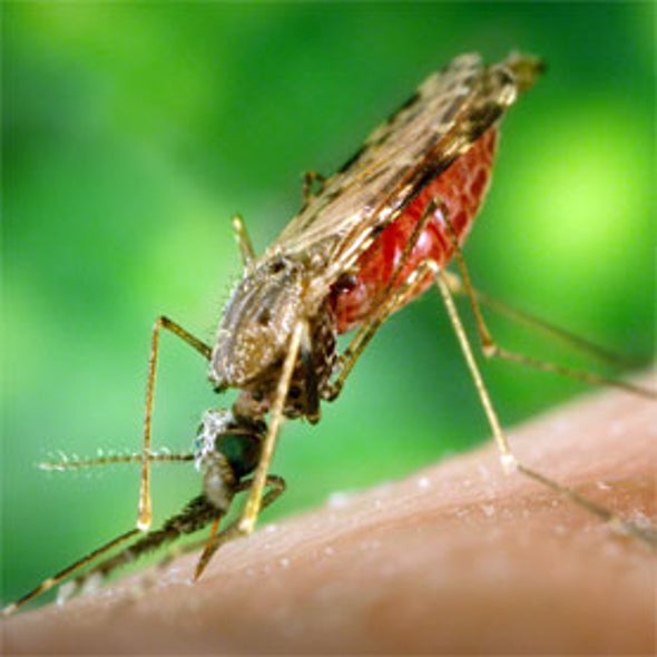 GO Fight against Malaria