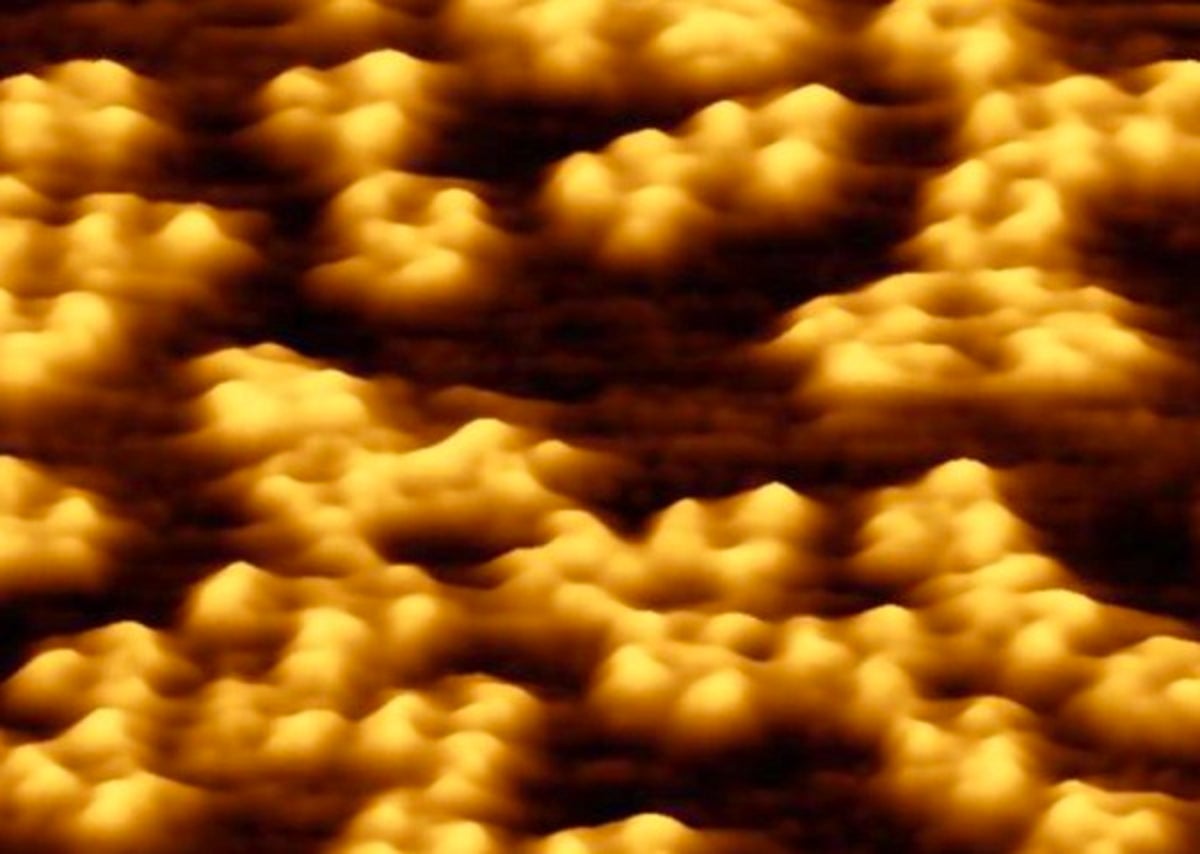 Shake, Rattle and React Proteins Dance across a Membrane Scientific