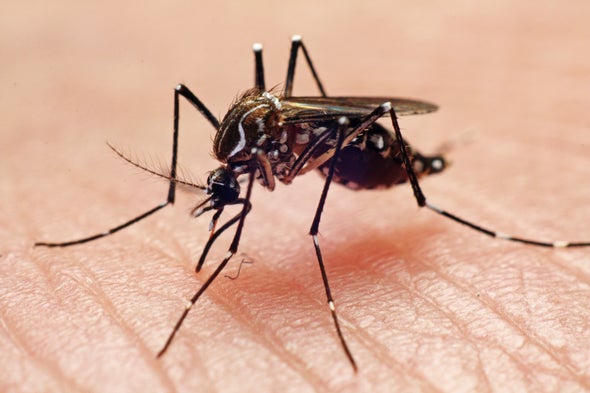 Why Your Summer Might Be Full of Mosquitoes