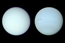 Uranus and Neptune Have Similar Hues, New Study Shows