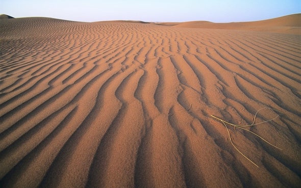 Saharan Dust Brings Bacterial Blooms to the Caribbean