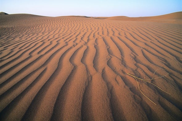 Saharan Dust Brings Bacterial Blooms to the Caribbean