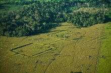 10,000 Pre-Columbian Structures Could Be Hidden beneath Amazon Rain Forest