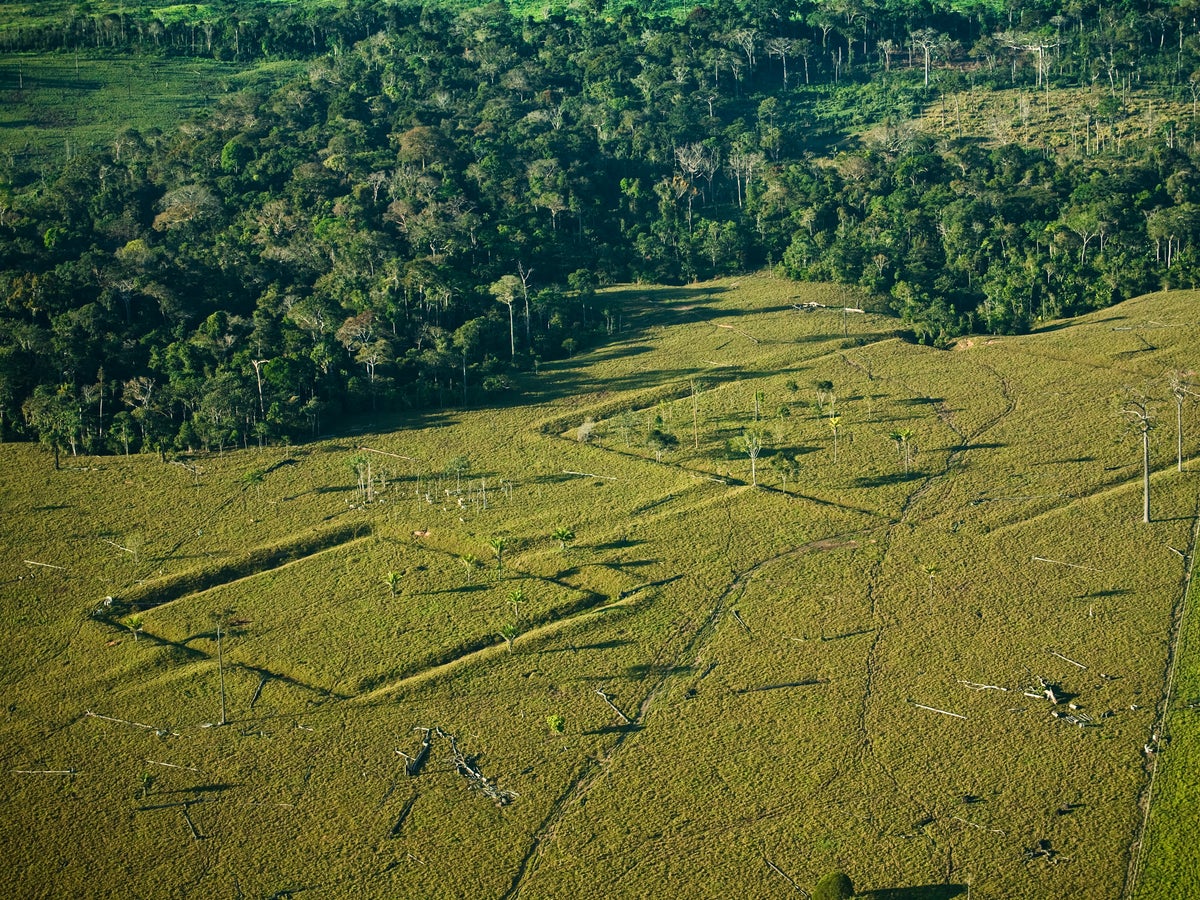 10,000 Pre-Columbian Structures Could Be Hidden beneath Amazon Rain Forest | Scientific American